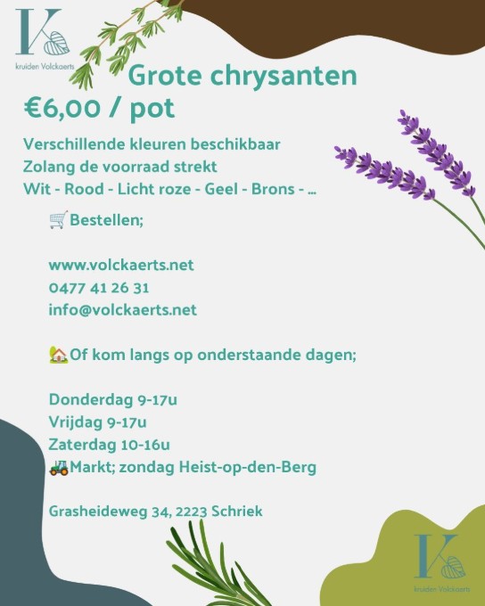  (vergroot foto)